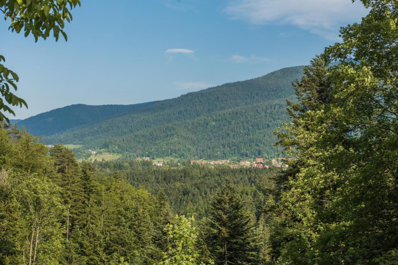 Вилла Pocitniska Hisa Koca Dobnik Lovrenc na Pohorju Экстерьер фото